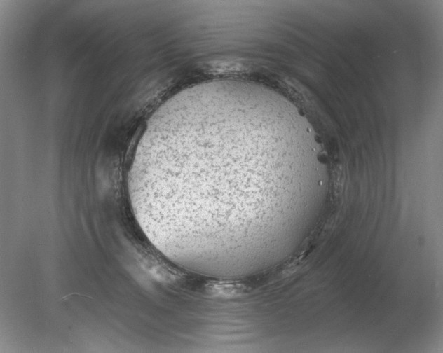 X0000078870372200611271307