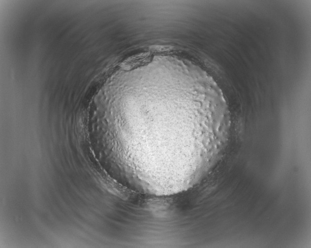 X0000078870373200611271307