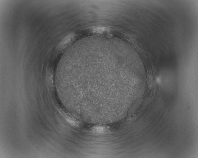 X0000078870375200611271307