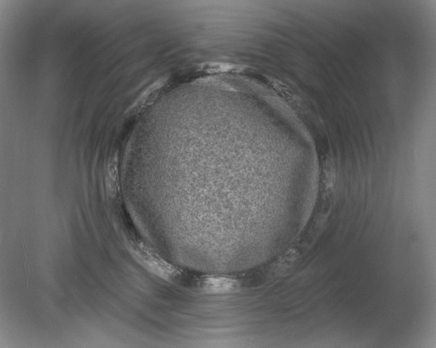 X0000078870376200611271307