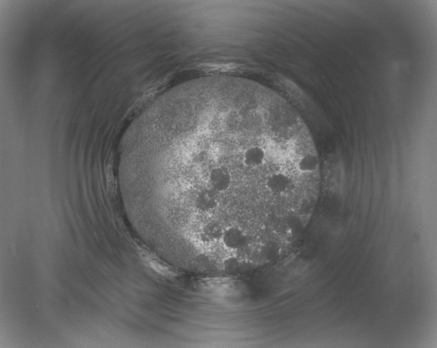 X0000078870377200611271307