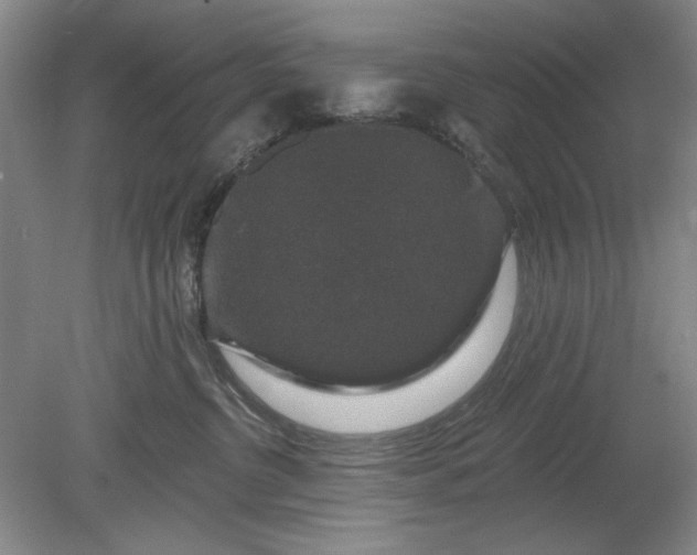 X0000078870380200611271307