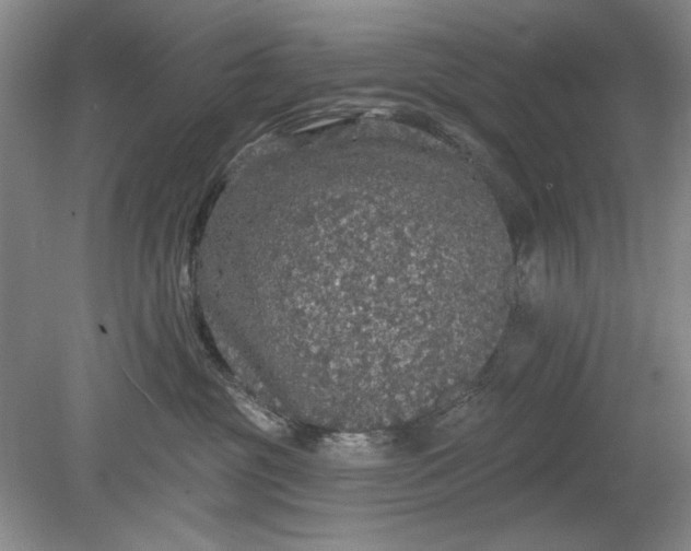 X0000078870381200611271307