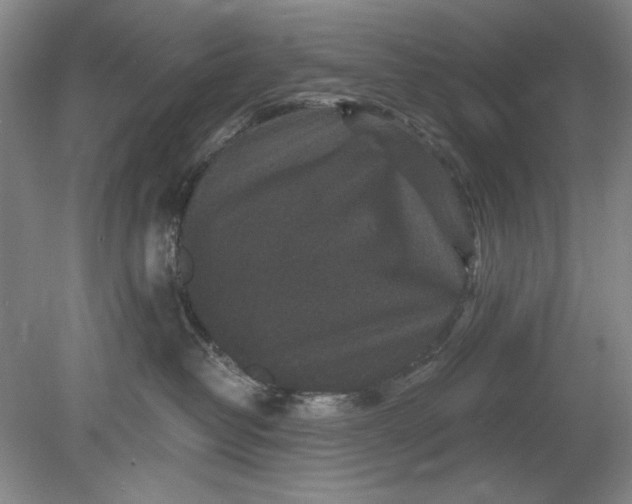 X0000078870382200611271307