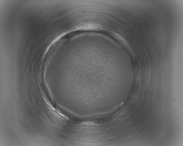 X0000078870392200611271306