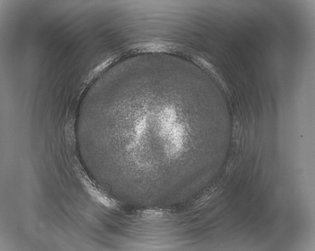 X0000078870394200611271306