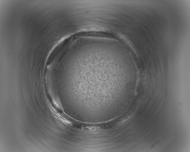 X0000078870395200611271306