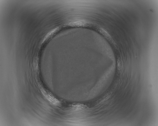 X0000078870396200611271306