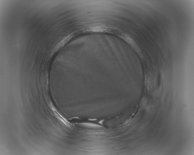 X0000078870397200611271306