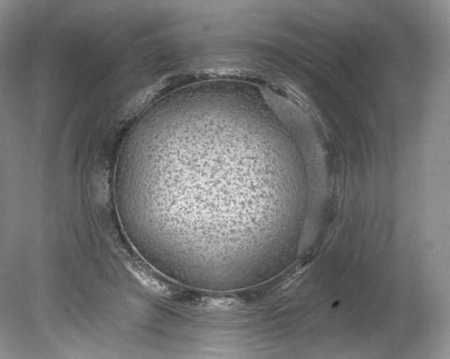 X0000078870401200611271306