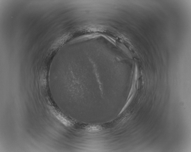 X0000078870402200611271306