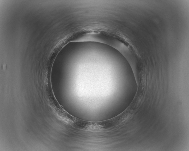 X0000078870403200611271306