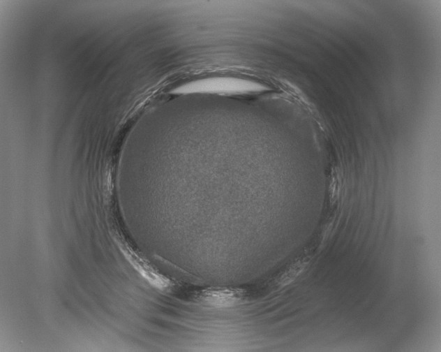 X0000078870405200611271306