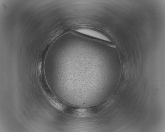 X0000078870406200611271306