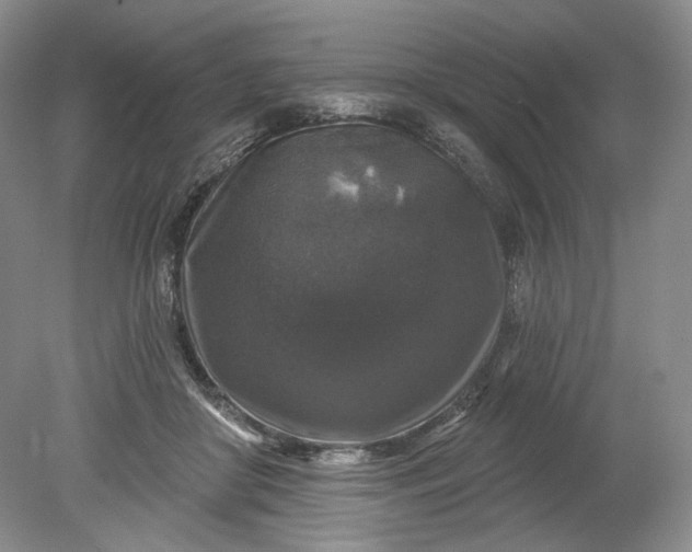 X0000078870410200611271306