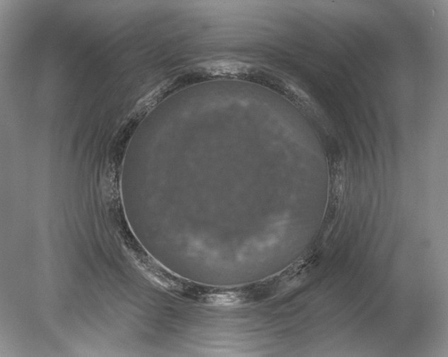 X0000078870411200611271306