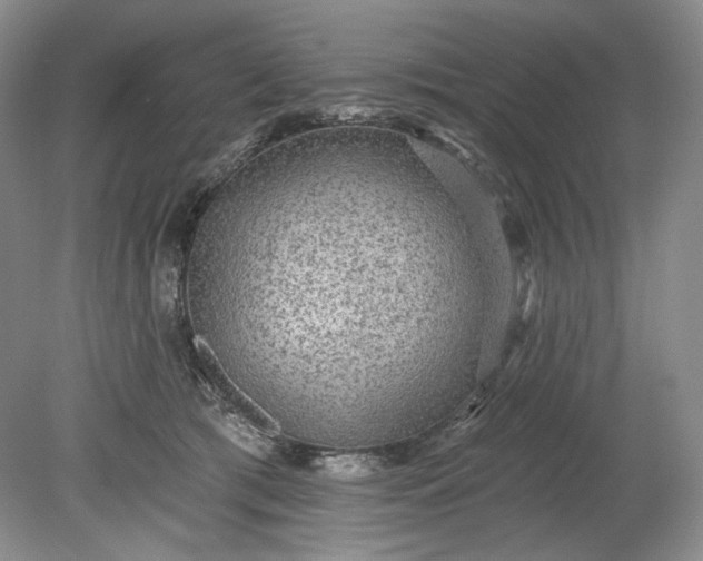 X0000078870417200611271306