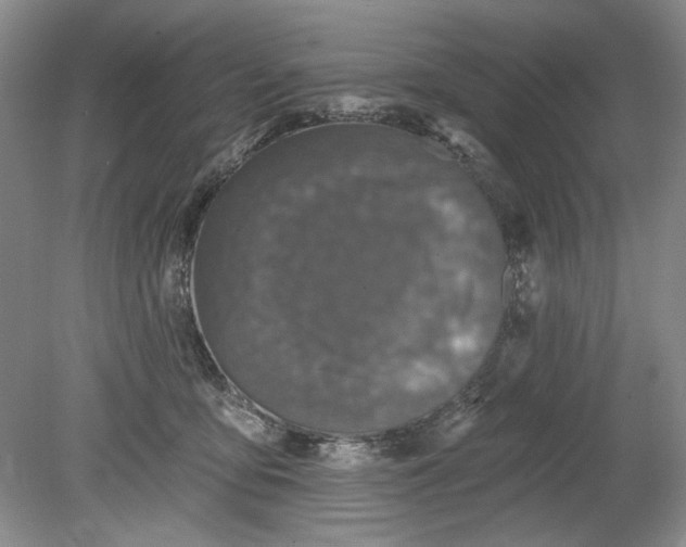 X0000078870419200611271306