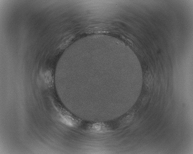 X0000078870420200611271306