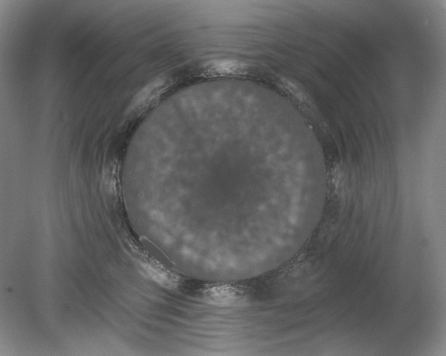 X0000078870423200611271306