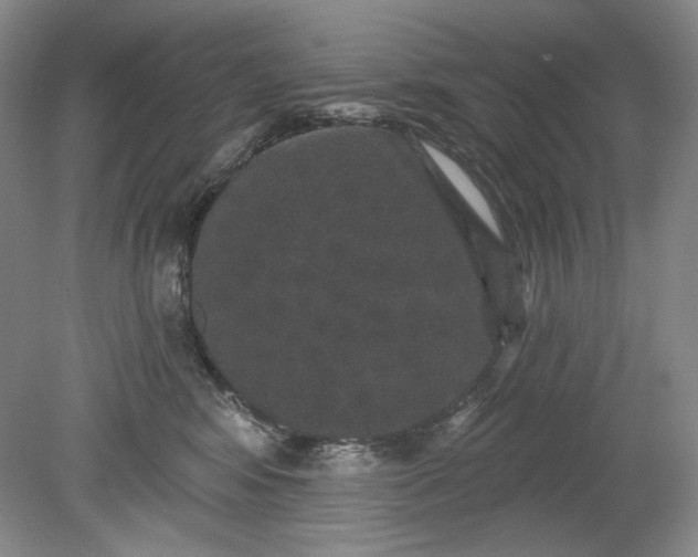 X0000078870424200611271306