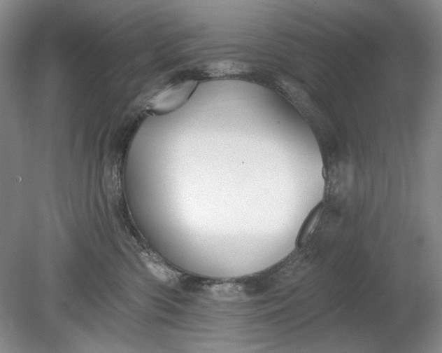 X0000078870426200611271306