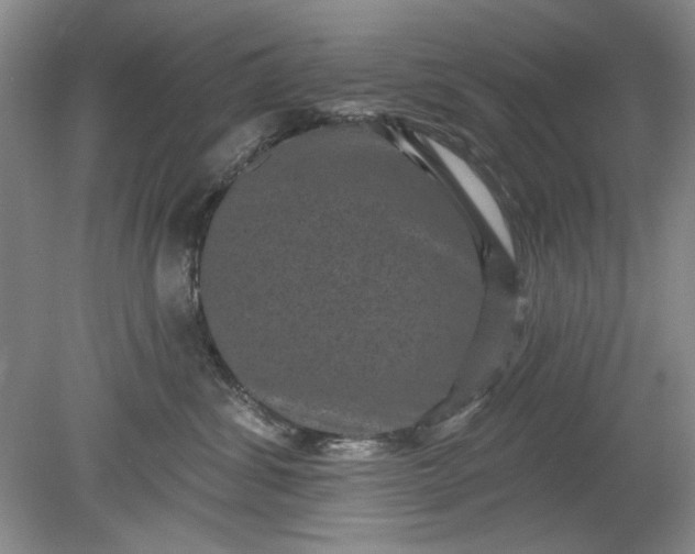 X0000078870428200611271306