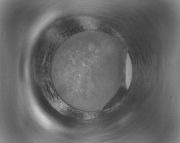 X0000078870431200611271306