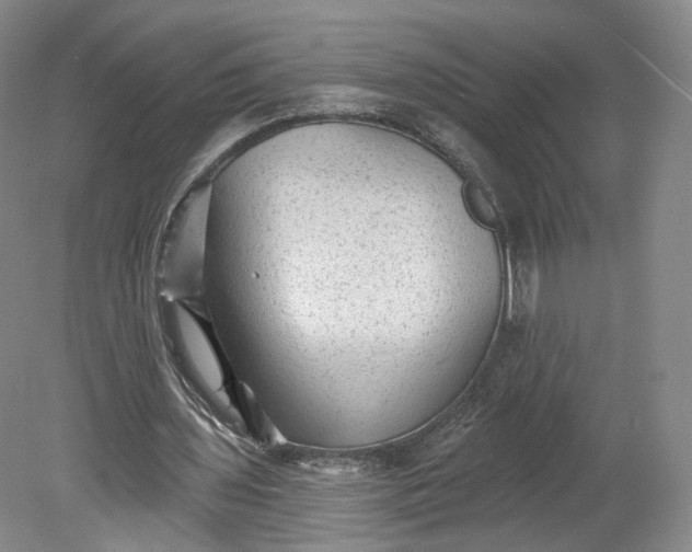 X0000078870435200611271305