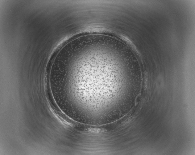 X0000078870439200611271305