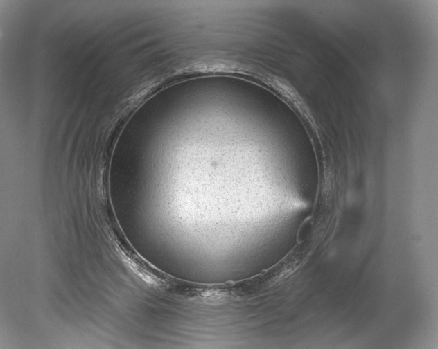 X0000078870441200611271305