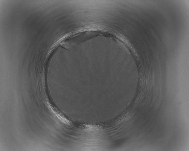 X0000078870442200611271305