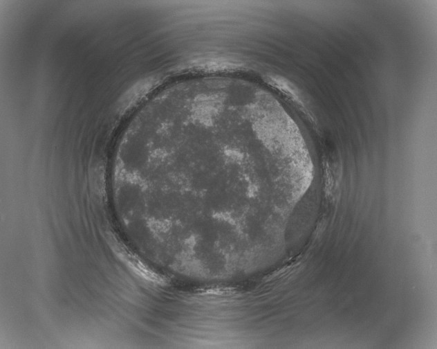 X0000078870447200611271305
