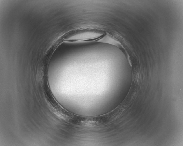 X0000078870448200611271305