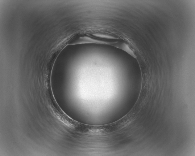 X0000078870450200611271305