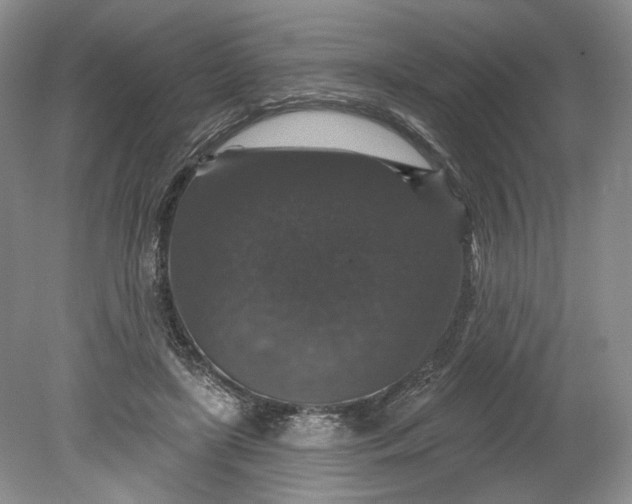 X0000078870451200611271305