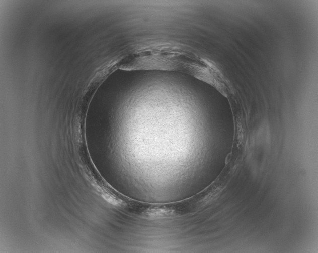 X0000078870453200611271305