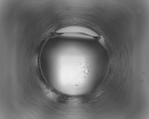 X0000078870454200611271305