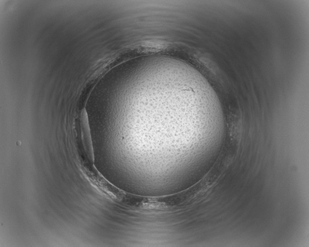 X0000078870455200611271305