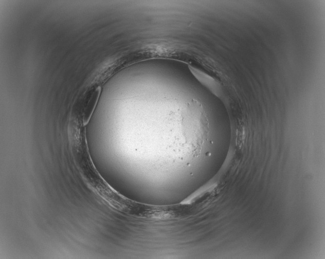X0000078870456200611271305