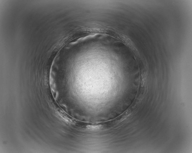 X0000078870457200611271305