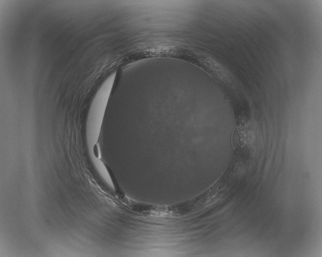 X0000078870458200611271305