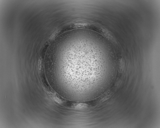 X0000078870463200611271305