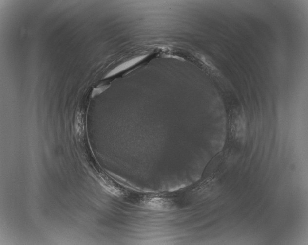 X0000078870467200611271305