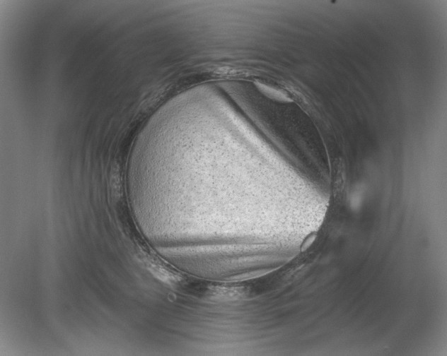 X0000078870469200611271305