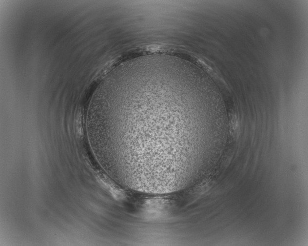 X0000078870470200611271305