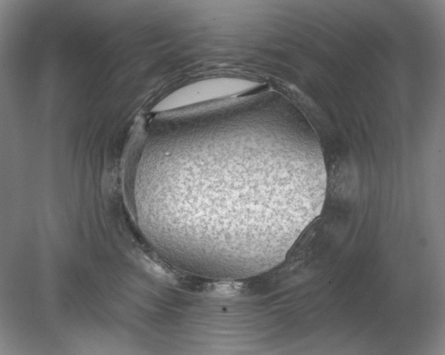 X0000078870474200611271305