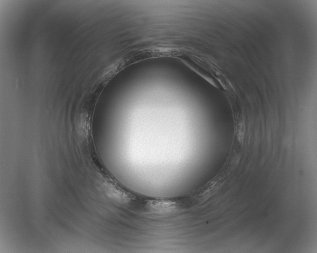 X0000078870476200611271305