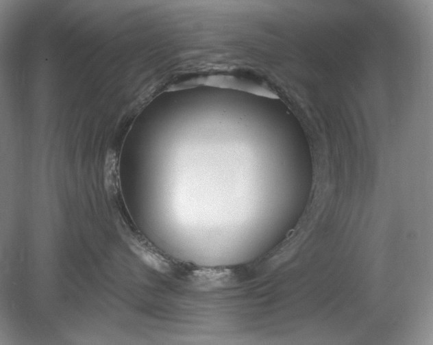 X0000078870480200611271306