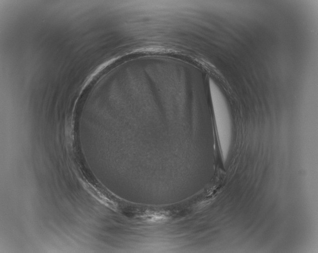 X0000078870484200611271305